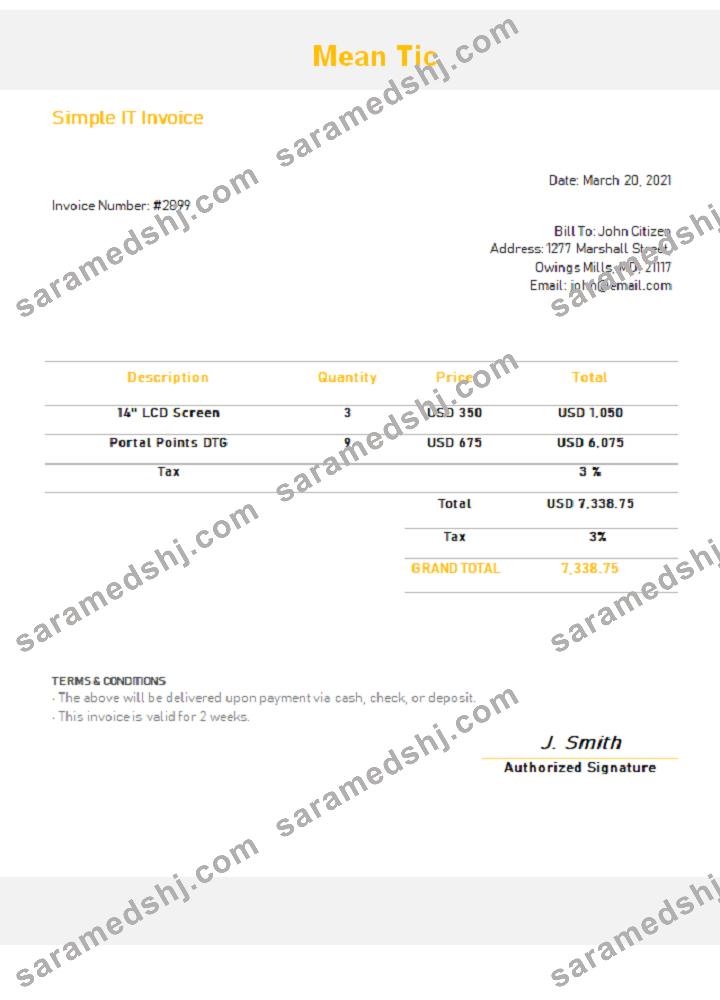 USA Mean Tic invoice